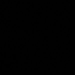 Meet your Posher, Lexus